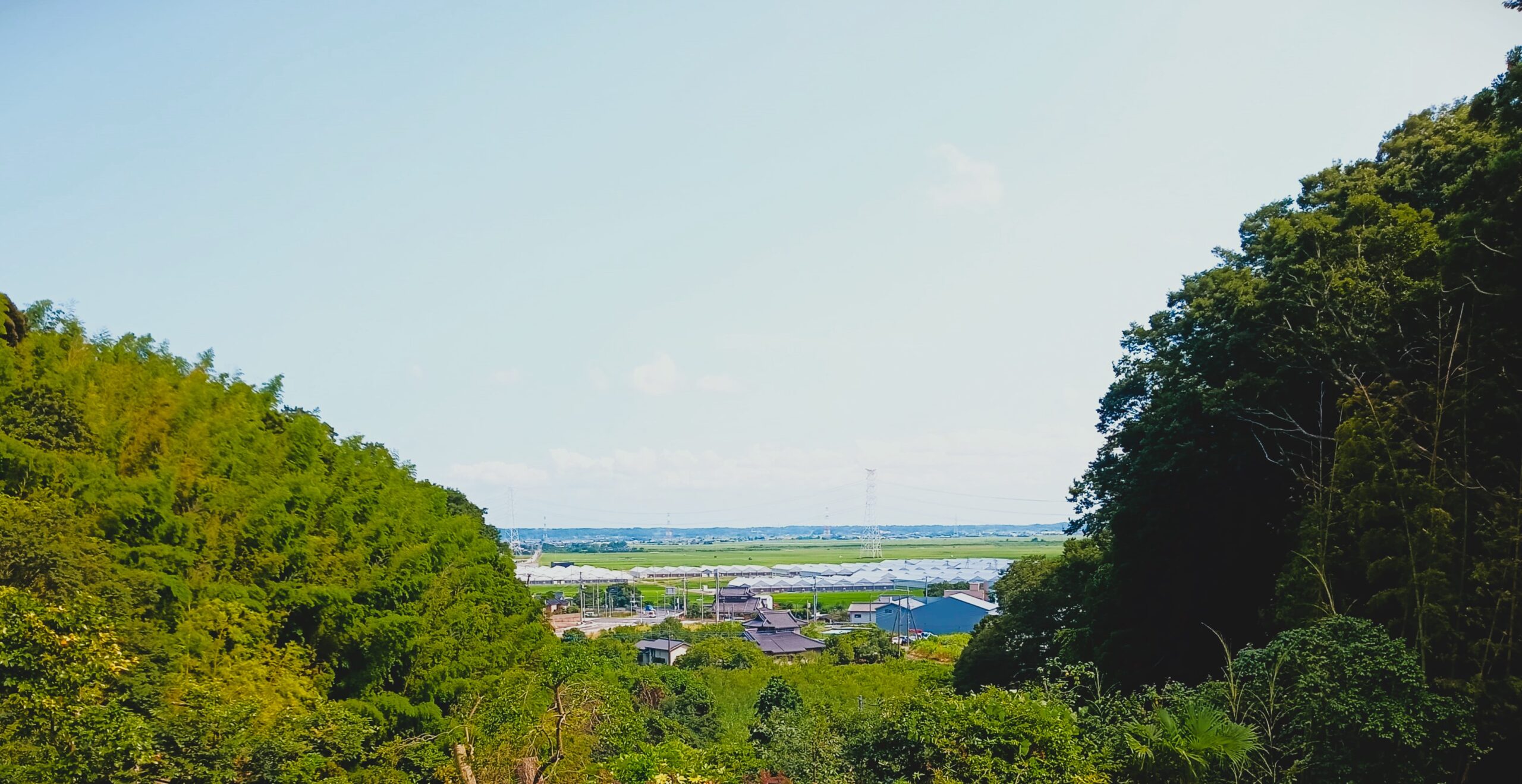 桑山のこと